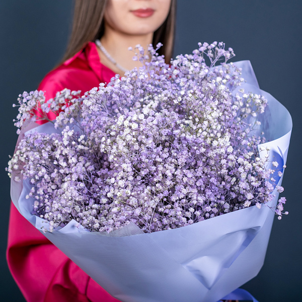 Купить Букет из фиолетовых гипсофил в  с бесплатной доставкой: цена, фото, описание